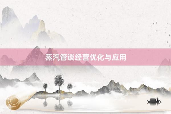蒸汽管谈经营优化与应用