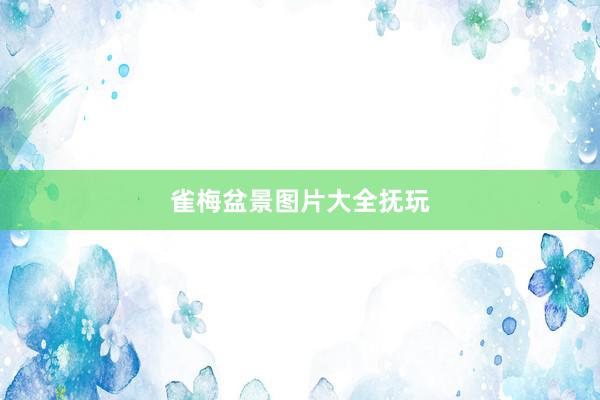 雀梅盆景图片大全抚玩