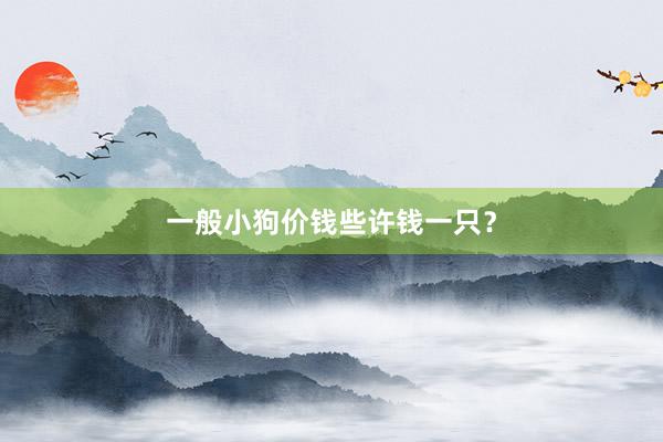 一般小狗价钱些许钱一只？