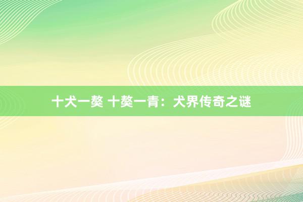 十犬一獒 十獒一青：犬界传奇之谜